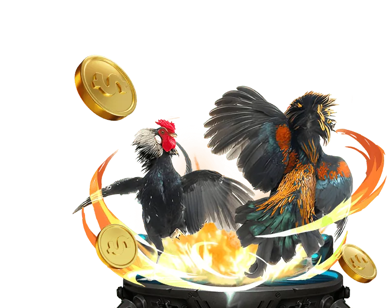 Chương trình VIP ptwin